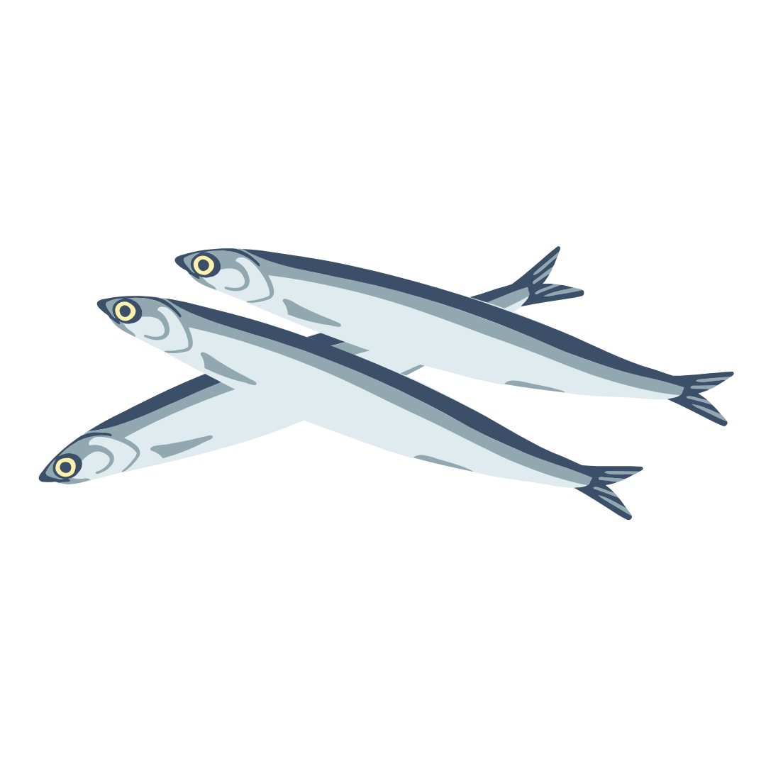 Ikan Asin Teri Medan